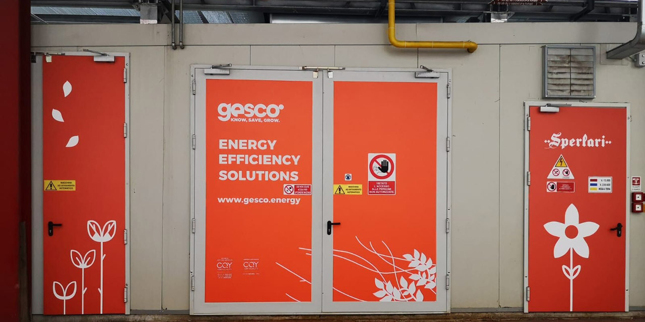 Blog Gesco_Sperlari e Gesco